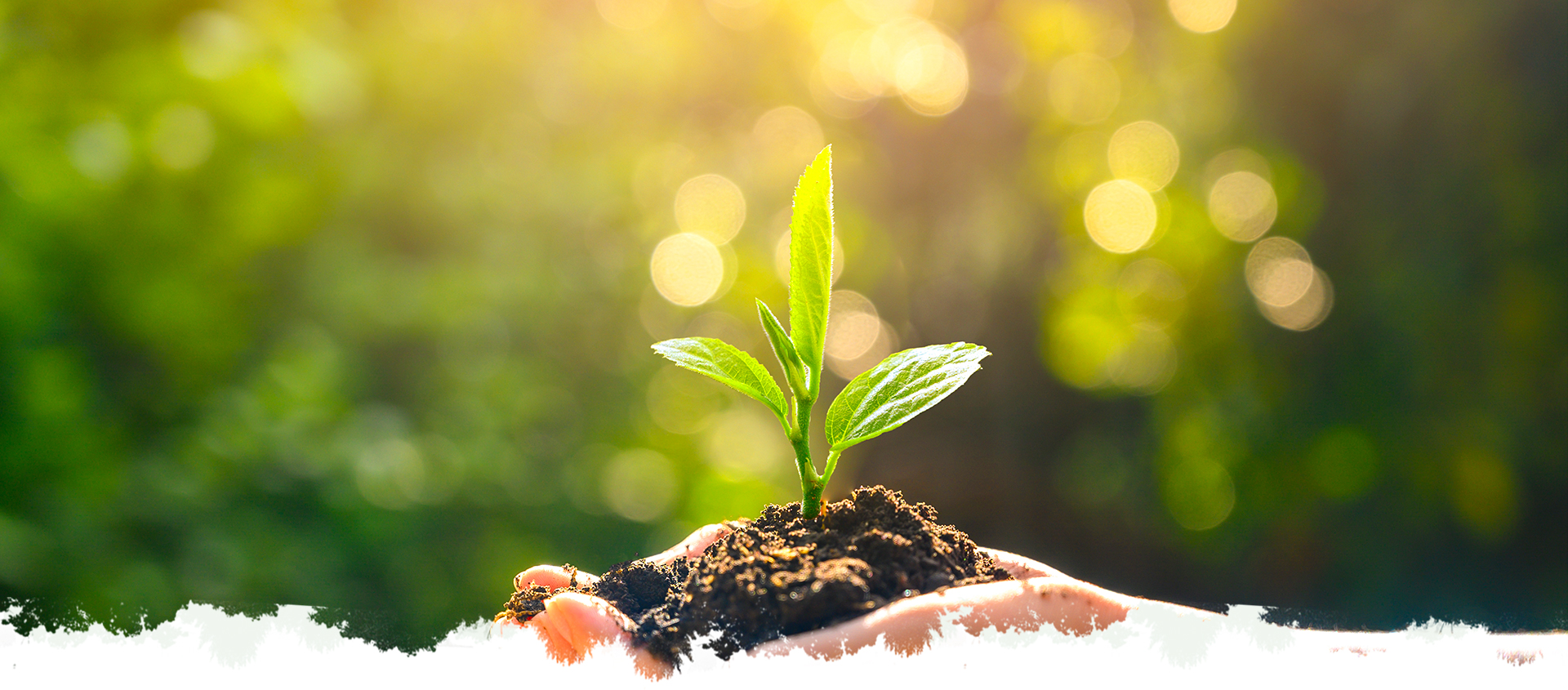 首页| J9九游国际集团中国官方网站